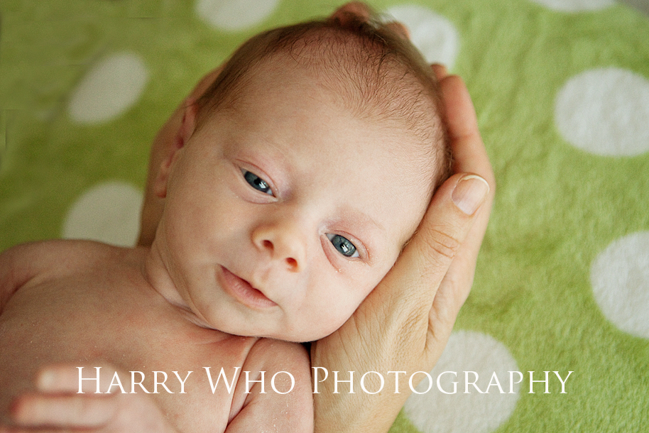 Baby Logan | Willow Glen Newborn Baby Photography