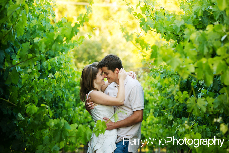 Christina and Jake’s Engagement – Los Gatos Wedding Photographer